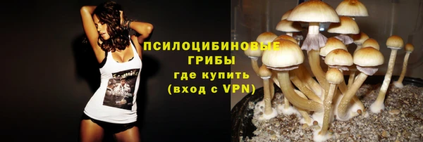 винт Алексин