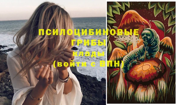 apvp Михайловка